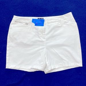 Rafaella curvy size 10